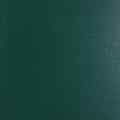 ral_6005_polysk_zielen_zielony_zielona_blacha_kolor_blachy.jpg