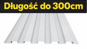 Lamele elewacyjne stal H-2cm | 4cm x 4cm | max 3m