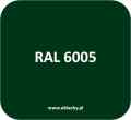 blacha_plaska_kolor_ral_6005_zielony_zielen_butelkowa.jpg