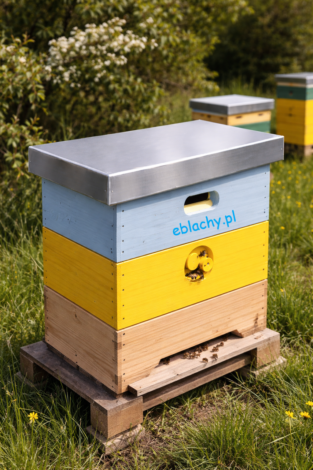 Daszek na pasiekę ul - Producent Polski