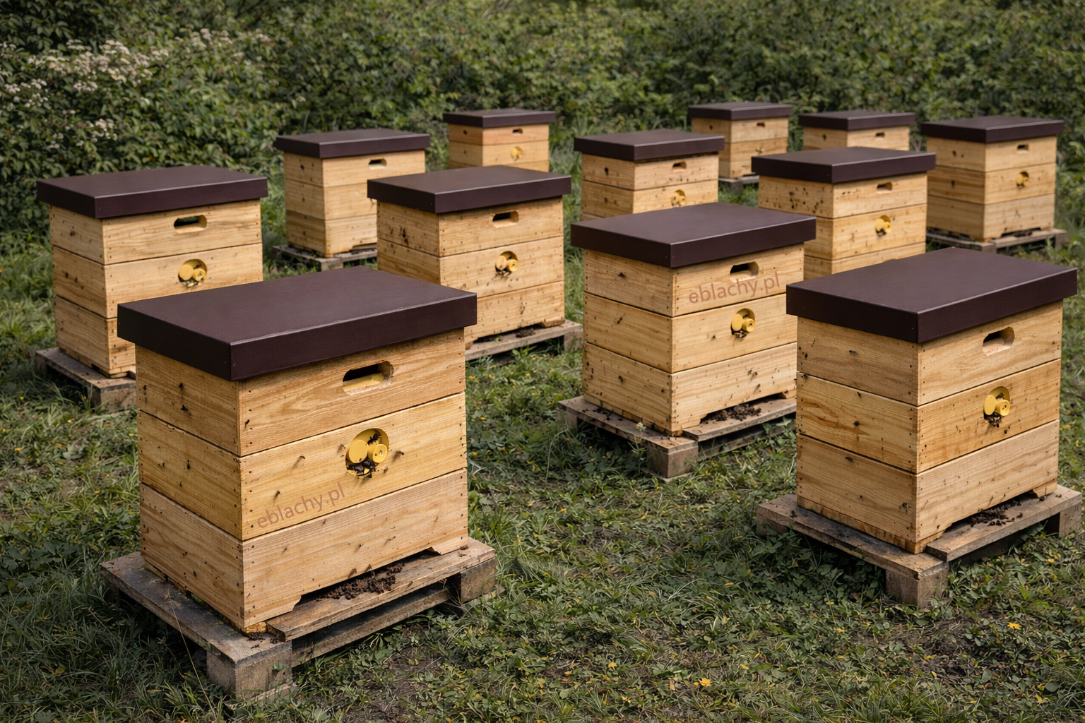 Producent czap na pasiekę do uli - na ule